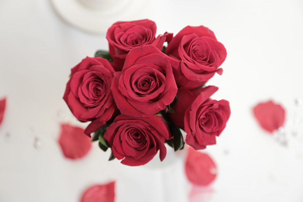 バラの色ごとの花言葉と触るときの注意点
